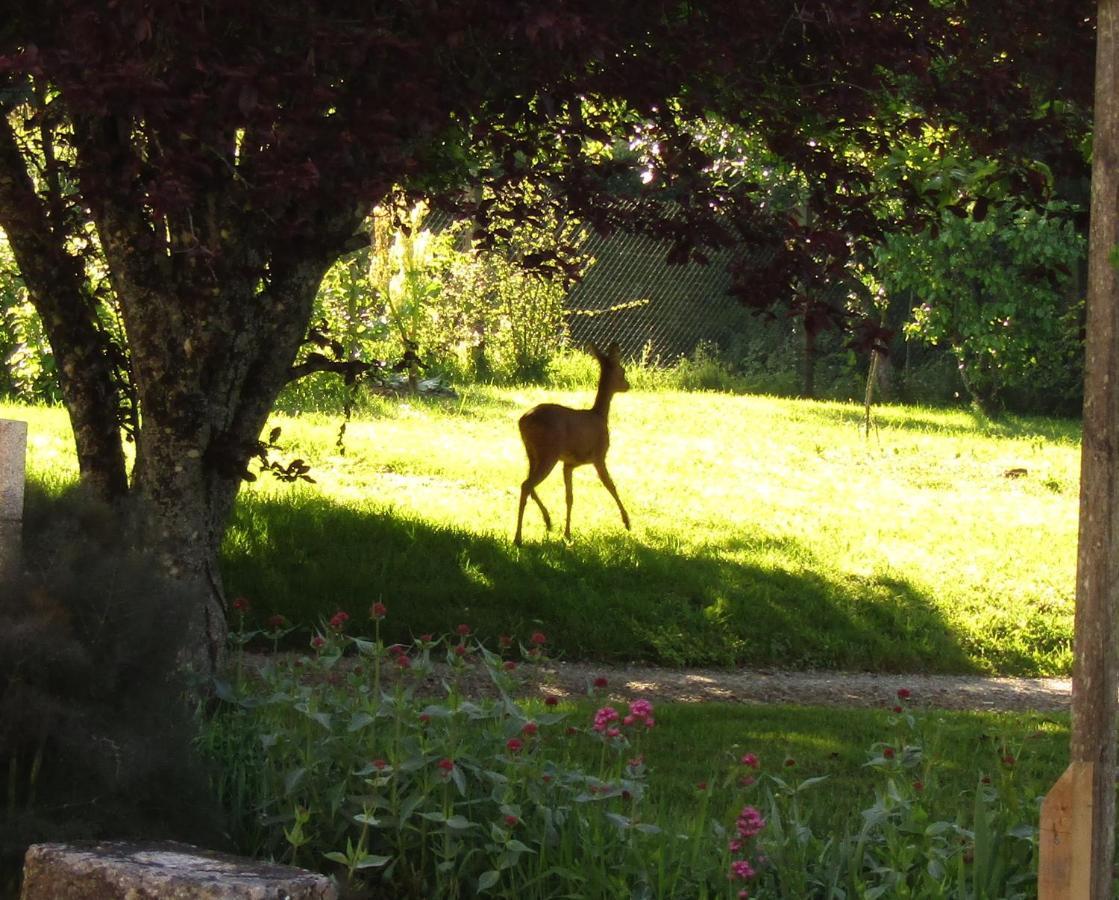 Fermette Dans Les Pays De La Loire Villa Izé Buitenkant foto