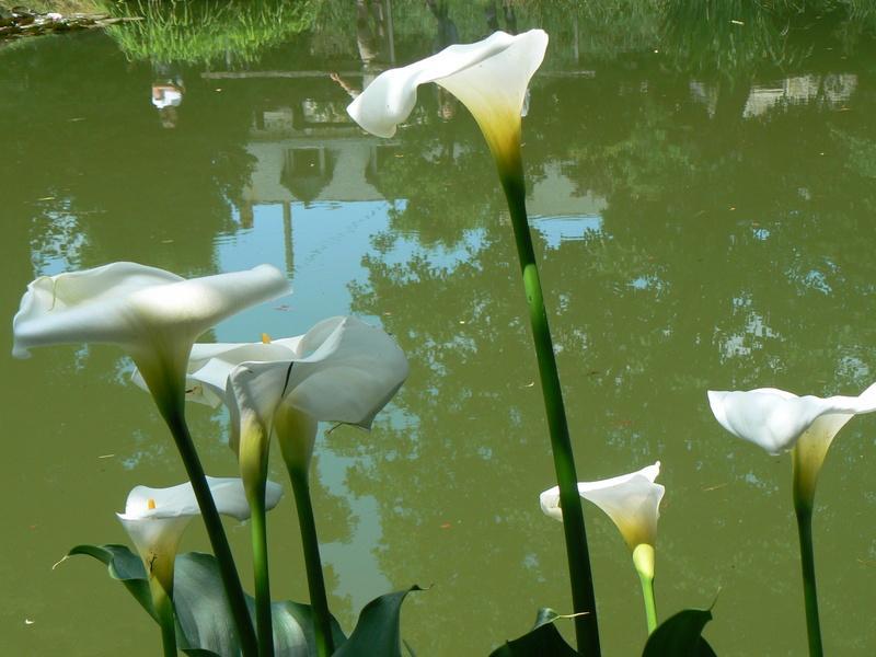 Fermette Dans Les Pays De La Loire Villa Izé Buitenkant foto