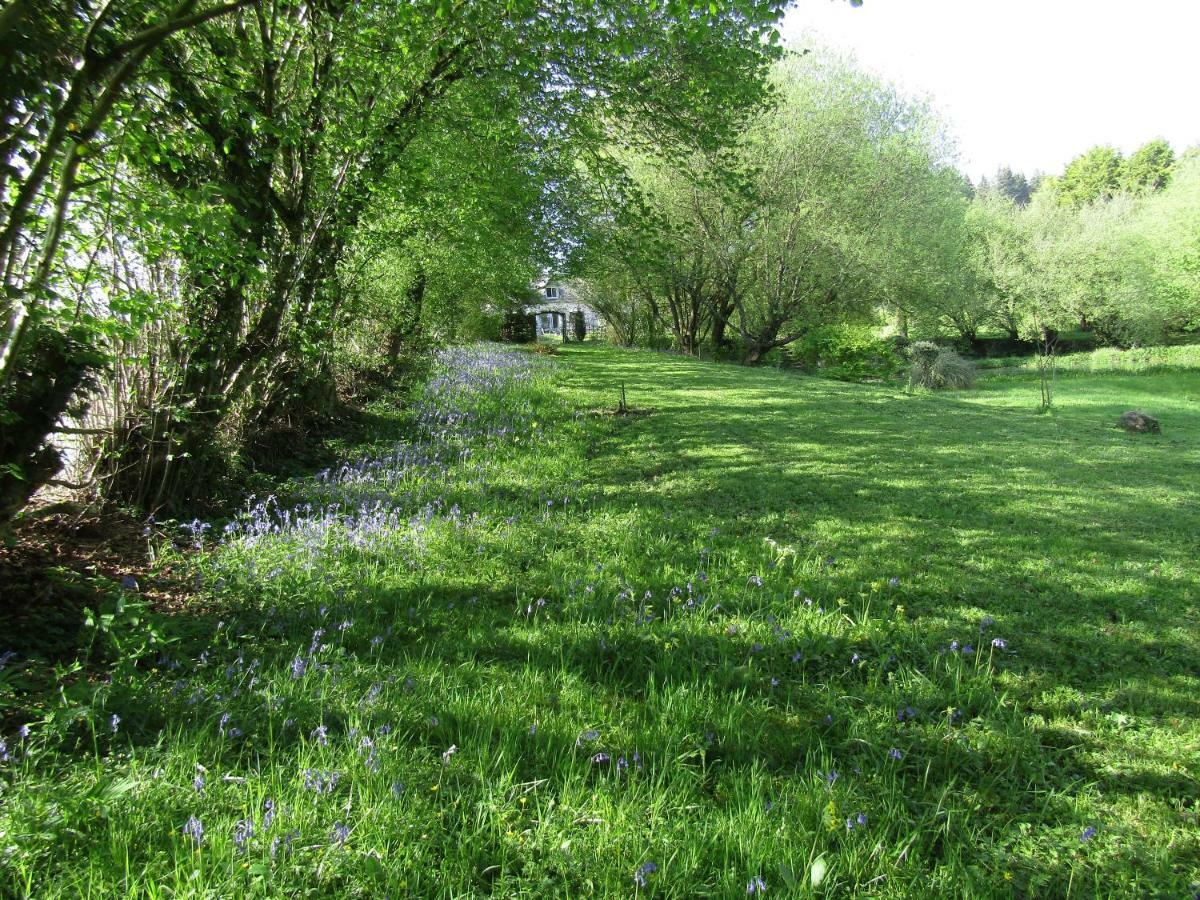 Fermette Dans Les Pays De La Loire Villa Izé Buitenkant foto
