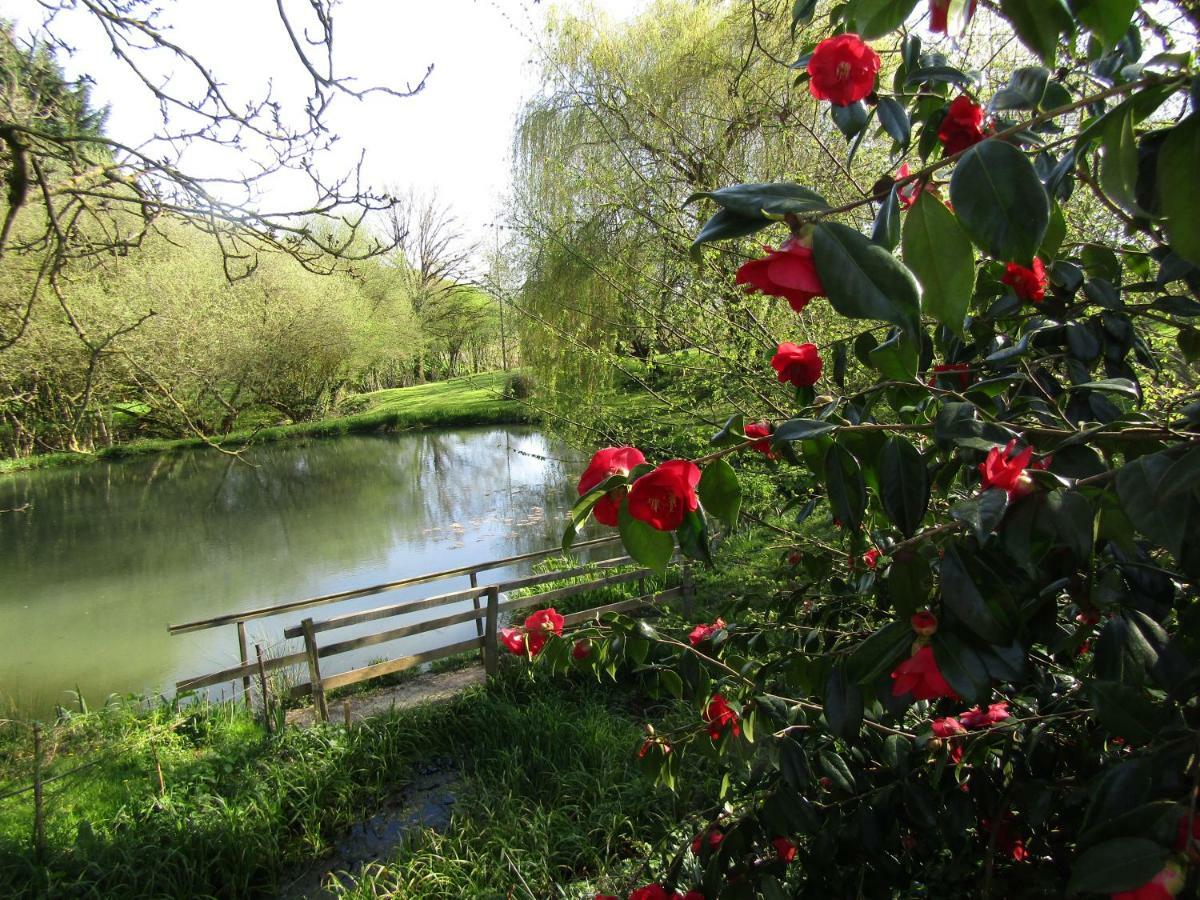 Fermette Dans Les Pays De La Loire Villa Izé Buitenkant foto